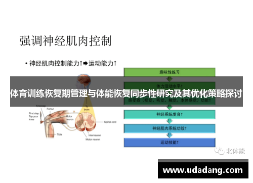 体育训练恢复期管理与体能恢复同步性研究及其优化策略探讨