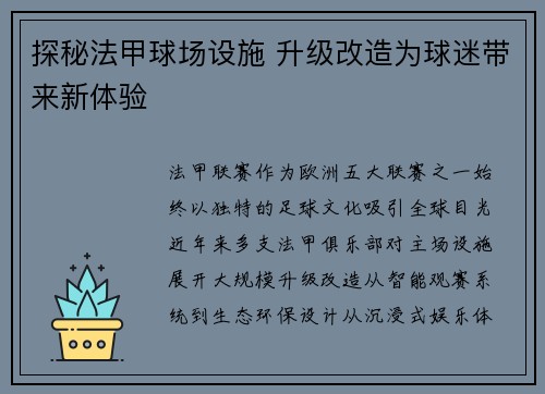 探秘法甲球场设施 升级改造为球迷带来新体验